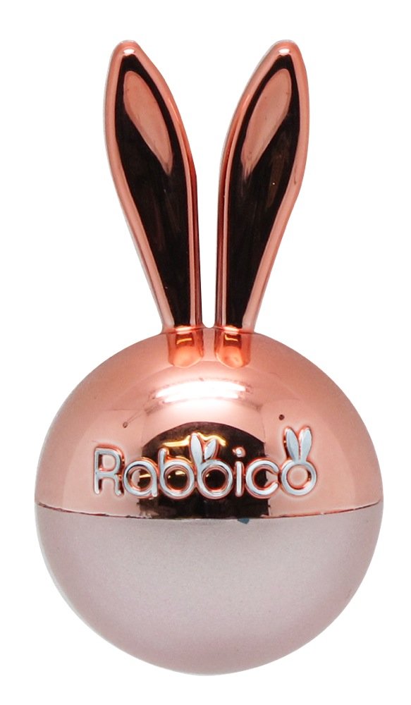 Amazon.com: Rabbico Rabbit Air Shine Car Vent Clip Air Freshener