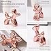 Notakia Cute Ceramics Pink Balloon Dog Statue Crafts Living Room Desktop Decorations,Handmade Modern Small Ceramic Animal Statue Ornament Home Decor Accents (Pink Balloon Dog)