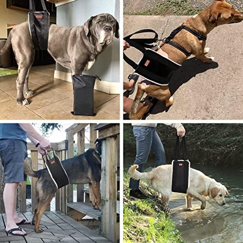 Adjustable Dog Lifting Harness, Support and Rehab Harness for Weak Rear Legs, Soft Sling Assist The Dog Who are Senior, Injured, Disabled and After ACL Surgery Rehabilitation (For Medium Dog)
