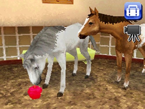 Petz Horseshoe Ranch - Nintendo Ds #TOP3