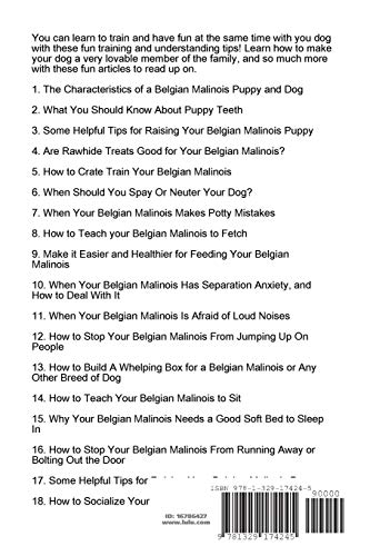 Snapklik.com : How To Train And Understand Your Belgian Malinois Puppy ...