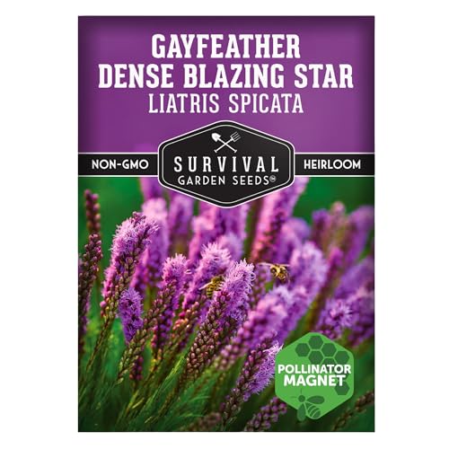 Survival Garden Seeds - Dense Blazing Star (Liatris spicata) |