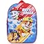 Blue Paw Patrol