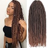 RuiYok 24 Inch Marley Twist Crochet Braids 8 Packs Ombre Marley Twist Braiding Hair for Women Long Afro Kinky Springy Twist Braiding Hair Jumbo Marley Hair for Faux Locs Crochet Hair Extensions T30#