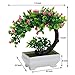 GreensCharm Artificial Bonsai Tree Faux Potted Plant with White Pot - Mini - 8 Inch Tall(Rose Red)