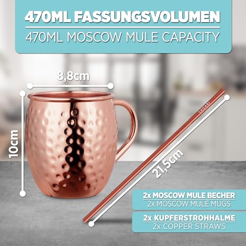 Foto von Moscow Mule Becher | Kupferbecher 470ml von LACARI | 2x Kupferbecher & 2x Strohhalme | Moscow Mule Becher 2er Set | Cocktail Bar Geschenk | Inkl. Moscow Mule E-Book