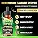 MILIVOL 10in1 Cayenne Pepper Liquid Drops + Ginger, Ceylon Cinnamon, Vitamin D3, Vitamin K2, Garlic, Black Pepper and More - Digestion Support - 2 Fl Oz - 2 Months Supply