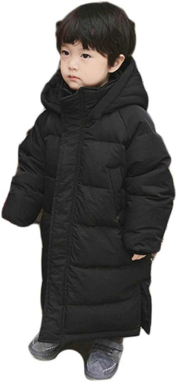 バトルスタディーズ 1-44まで 全44巻 レンタル 送料無料 / 匿名配送