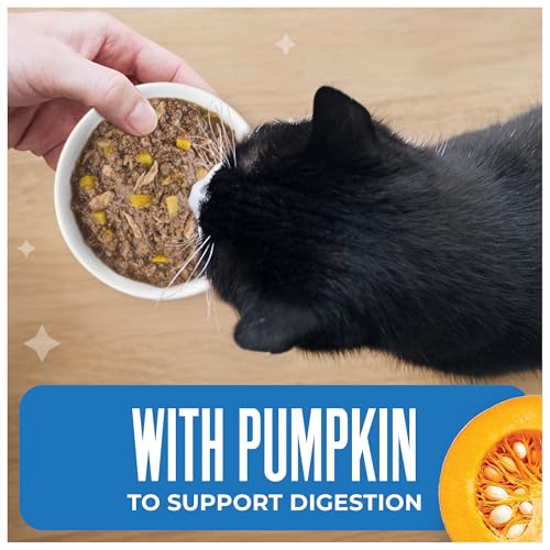 Image of Tiki Cat Friends Tuna, Tilapia & Pumpkin Wet Cat Food | Friends Recipe with Tuna, Tilapia & Pumpkin, Grain Free, High Moisture, Formulated for Adult Cats, 2.8 Oz Can (12 Count)