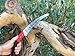 Corona Tools 13-Inch RazorTOOTH Pruning Saw | Tree Saw Designed for Single-Hand Use | Curved Blade Hand Saw | Cuts Branches up to 7