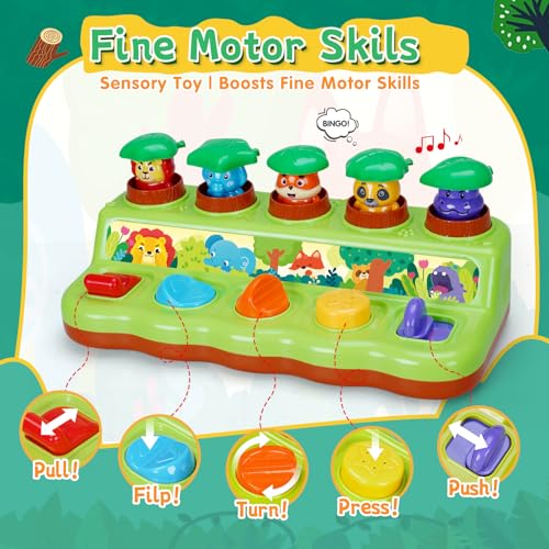 Image of FS Pop Up Toy for Baby 6-12 Months, Cause and Effect Toys for 1 Year Old, Early Learning Educational Pop Up Baby Toy for Boys and Girls 1st Birthday Gift
