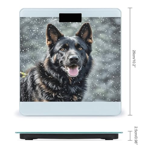 Balanza de baño digital precisa con vidrio templado 400 lb miniatura 2