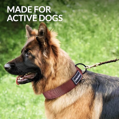 Robustes Hundehalsband für Große & Mittelgroße Hunde – Verstellbar, Doppellagiges Nylon, Metallschnalle, Reißfest & Ideal für Aktive Hunde (Rostrot, Groß (38-58 cm))