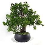 Leaf LEAF-7518 50cm Artificial Pine Bonsai Tree