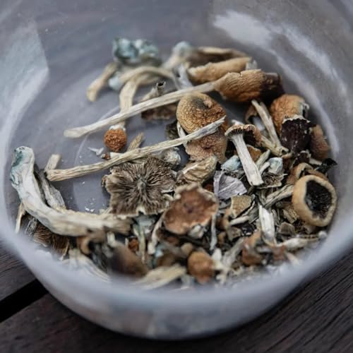 How Coloradans Are Using Legal Psilocybin & Just How Bad the Drought Has Gotten