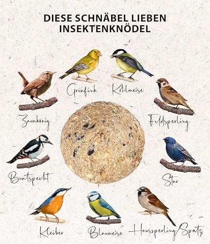 Dehner Natura Premium Meisenknödel mit Netz, Insektenknödel, ganzjähriges Wildvogelfutter proteinreich / energiereich, 30 Stück je 90 g (2.7 kg), Karton aus FSC-zertifizierter Produktion