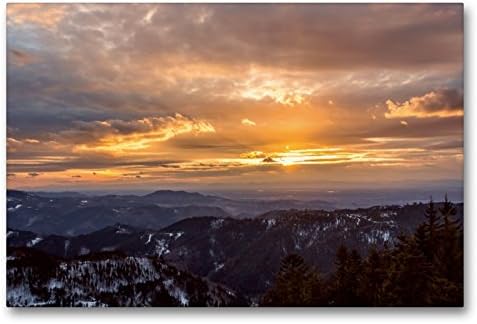 foro a vista per ar 15