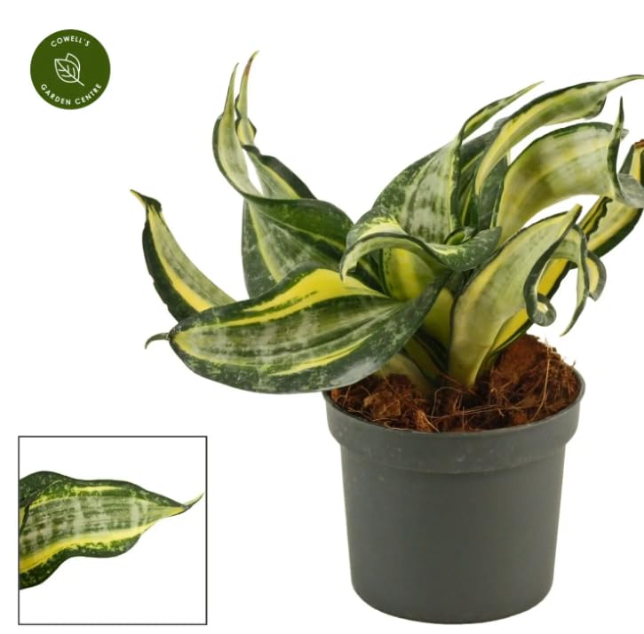 View 2