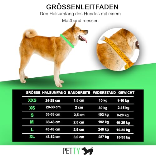 Petty Italia Verstellbares Hundehalsband aus Biothane mit LED, Nachtleuchtendes Halsband aus Biothane mit PVC und wiederaufladbarem Akku (Grün, L)