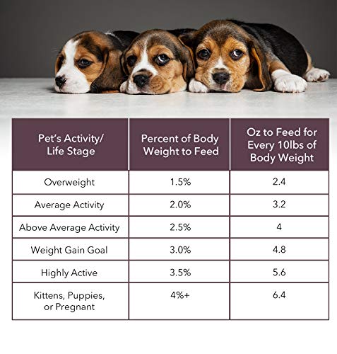 Steve\'s Real Food Raw Freeze Dried Dog Food Assorted Flavors- 3 Packs of 1.25 lb Bags of High Protein Dog Food in Chicken, Beef, and Turkenduck Flavors - 100% Natural USDA Human Grade Ingredients - Thumbnail 6