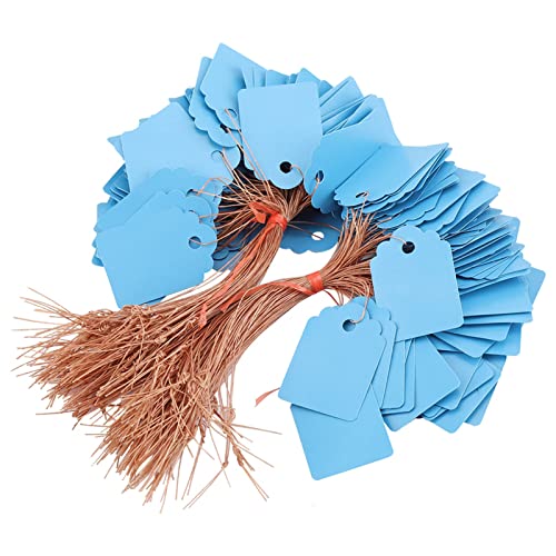 BAFOVY Sämlingsmarker Hanging Plant Label Ideales Pflanzenidentifikation 200pcs PVC Outdoor -Gartenzubehör mit Einfacher Kennzeichnung und Organisierter Gartenarbeit, Ideal Zum Markieren von (BLUE)