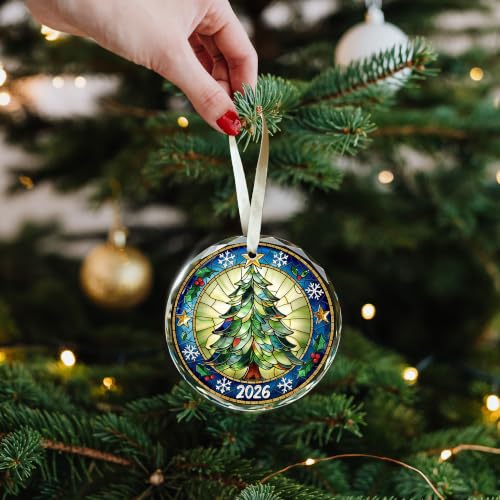 Image of Christmas Tree Funny Decorations, 2026 Christmas Ornaments