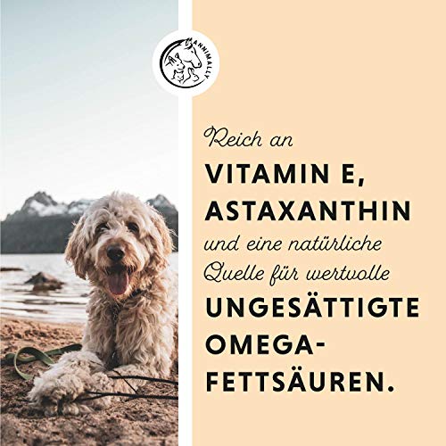 Annimally Lachsöl für Hunde 250 ml reich an Omega 3 & 6 Fettsäuren (mehr als 32%) - Barf Fischöl für Hund und Katze geeignet I Reines Naturprodukt kaltgepresst aus Deutschland