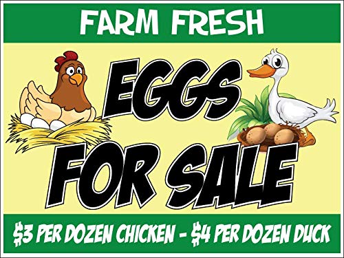 Chicken/Duck Eggs For Sale Yard Sign - Your Choice of Designs and Personalization, Printed 2 Sided on 18 x 24 YardSign Corpolast (Chicken/Duck)