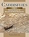 Caddisflies: A Guide to Eastern Species for Anglers and Other Naturalists