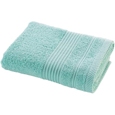 Serviette de Toilette Paris Prix Céladon Cover