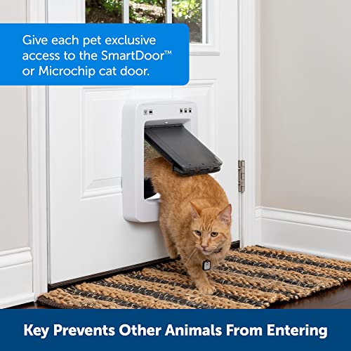 PetSafe Smart Door Key - RFID Key for Pet Door - Custom Access, Secure Entry, App-Enabled Compatibility - Small - Image 2