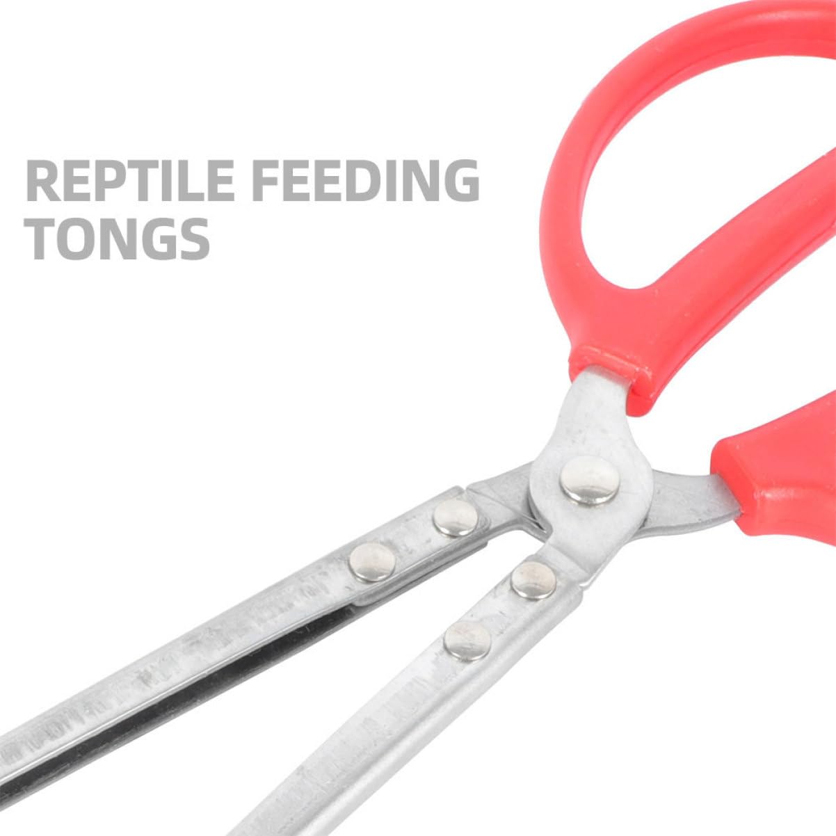Healvian Pinzas Para Serpientes De Acero Inoxidable 2 Piezas 52 Cm (boca Curva y Recta) Mango Antideslizante Para Captura Segura, Alimentación y Manipulación De Reptiles Exteriores y Casa