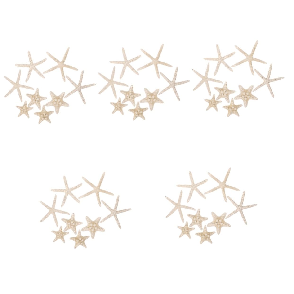 NUOBESTY 40 Piezas Botella de de Estrella de mar Concha Marina pequeña Concha de Vieira Decoración Acuario Manualidades Marinas decoración Decorativa de Estrellas de mar