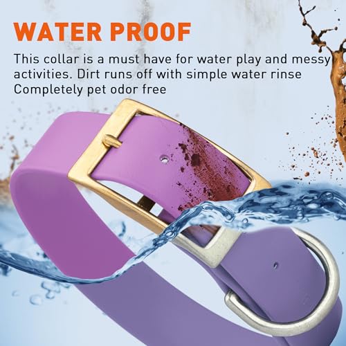 Image of Viper Biothane Heavy Duty Waterproof Dog Collar Strong Coated Nylon Webbing w /Solid Brass Hardware Odor-Proof for Easy Care to Clean High Performance Fits Small Medium or Large Dogs, Amethyst Purple