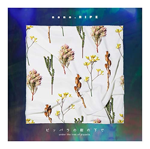 ピッパラの樹の下で (初回限定盤) (特典なし) ピッパラの樹の下で (初回限定盤) (特典なし)