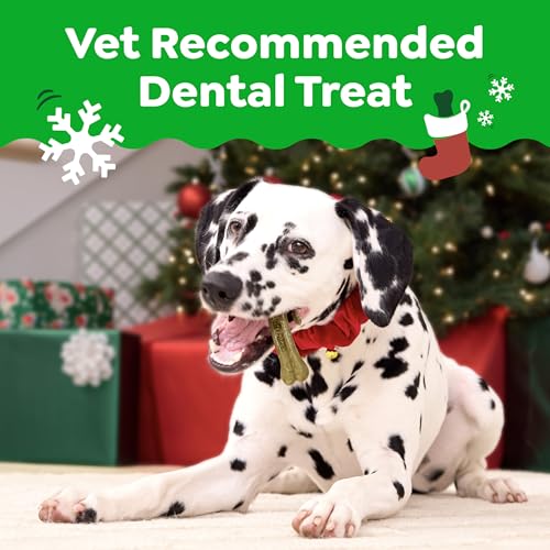 Image of Greenies Veterinarian-Recommended, Limited-Edition Natural Dental Dog Treats Teenie Size, Gingerbread Flavor, 6 oz. Pack, 22 Count