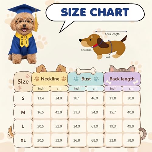 Disfraz de graduación para perro, tamaño mediano azul miniatura 5
