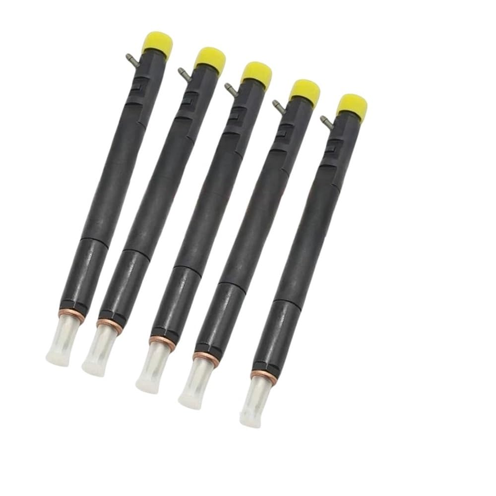 Fuel Injectors 5PCS EJBR04601D EJBR04701D EJBR04401D EJBR02601Z EJBR04501D EJBR03401D for Delphi for SsangYong Diesel Fuel Injector