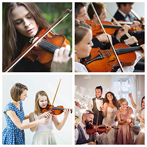 Aileen “Premium Beginner" Series Violin Outfit 4/4 Full Size Solid Wood Ebony Fitted for Kids Students, Teachers Approved