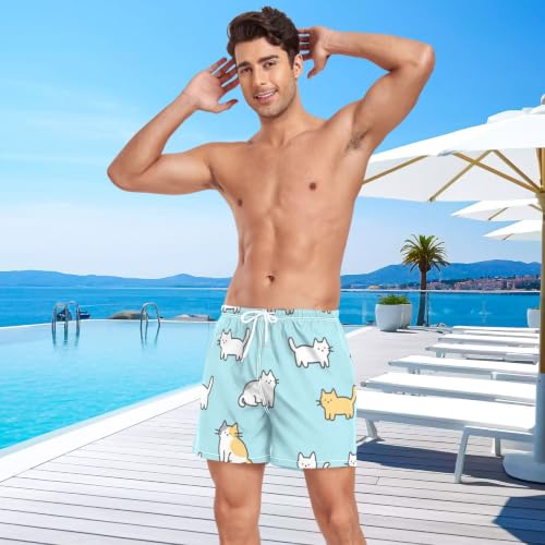 Bañador de gato azul para hombre con secado rápido ligero de playa 3