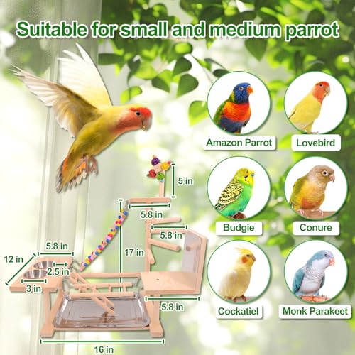 Image of Wooden Bird Parrots Playground, Bird Perch Stand, with Bird Ladder Chewing Toys, Out of Cage Accessories
