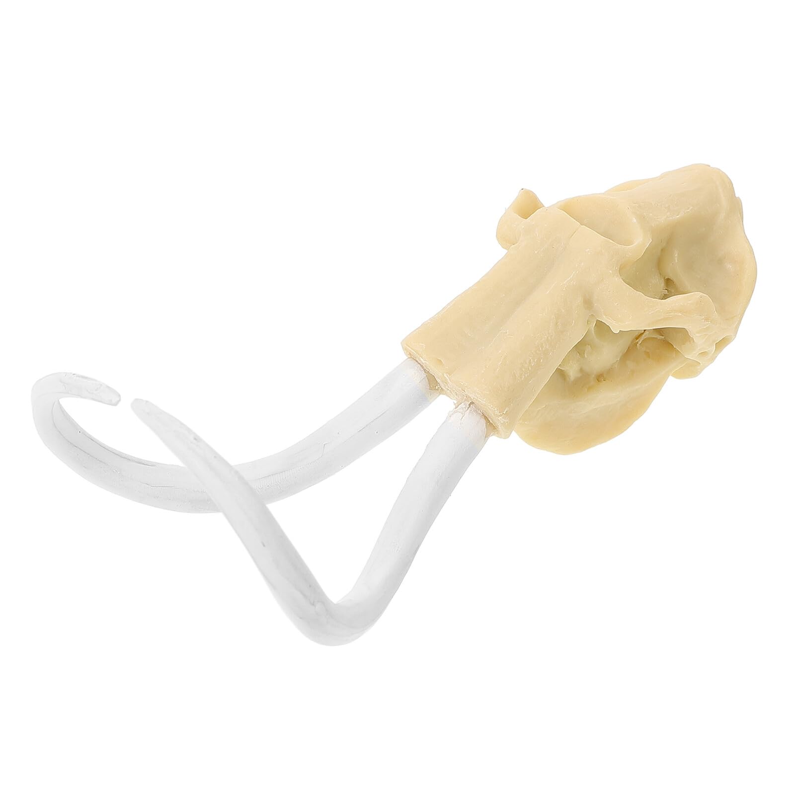 Aquarium Skull Ornament Resin Prehistoric Elephant Head Underwater Decor Fish Tank Landscape Ornament for Aquarium Aquatic Pets Fish Garden Decoration