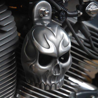 Harley Aged Aluminum Evil Twin Skull Horn Cover