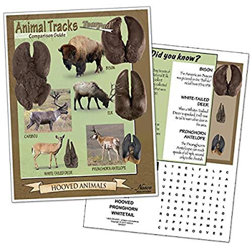 Image of Nasco SB49227 Tracks of Common Hooved Animals Comparison Guide Tear Pad