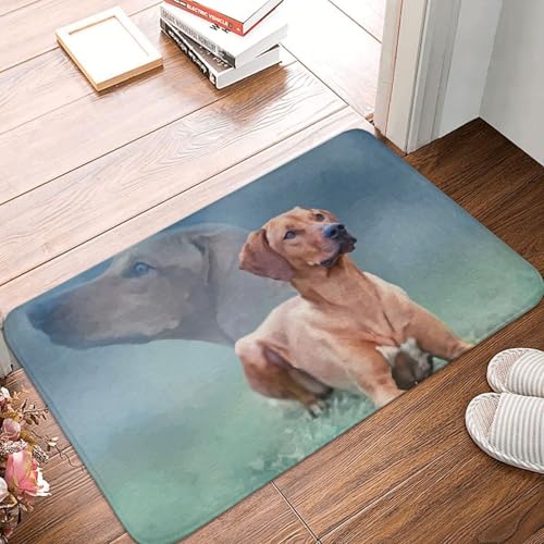 Paillassons pour entrée en textile durable avec motif Rhodesian Ridgeback - 2
