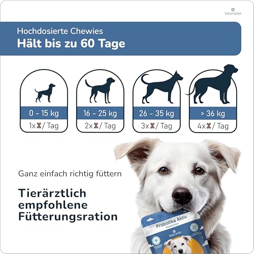 VeloraVet Probiotika Hund, Magen Darmsanierung, Darmkur für Hunde-Darmflora