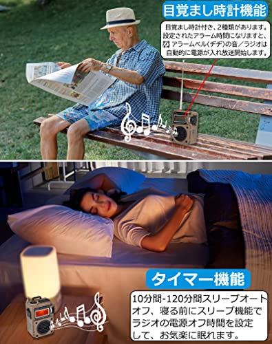 HanRongDa ポータブルFMラジオ HRD‑701(4)