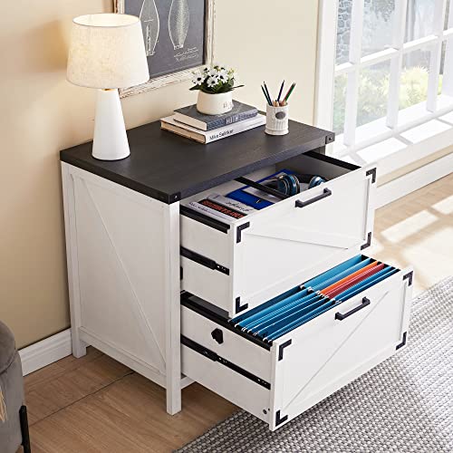 image for JXQTLINGMU 2 Drawer Farmhouse File Cabinet, Lateral Filing Cabinet for