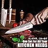 Huusk Japanese Kitchen Knife Set of 3, Professional Chef Knives Set for Kitchen, Hand Forged Butcher Knife Set for Meat Cutting, Meat Cleaver Boning Knife with Pakkawood Handle, Gift Idea for Men