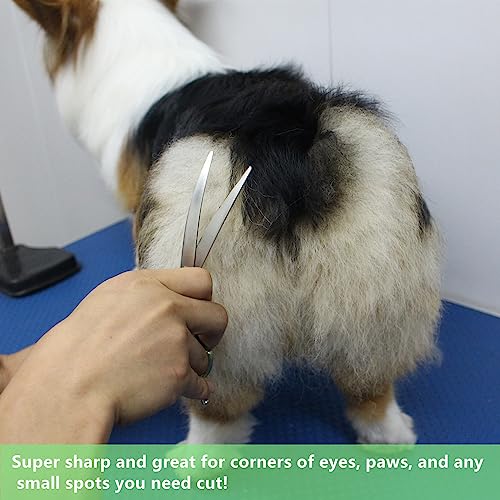 HASHIMOTO Curved Scissors for Dog Grooming, Dog Grooming Scissors
